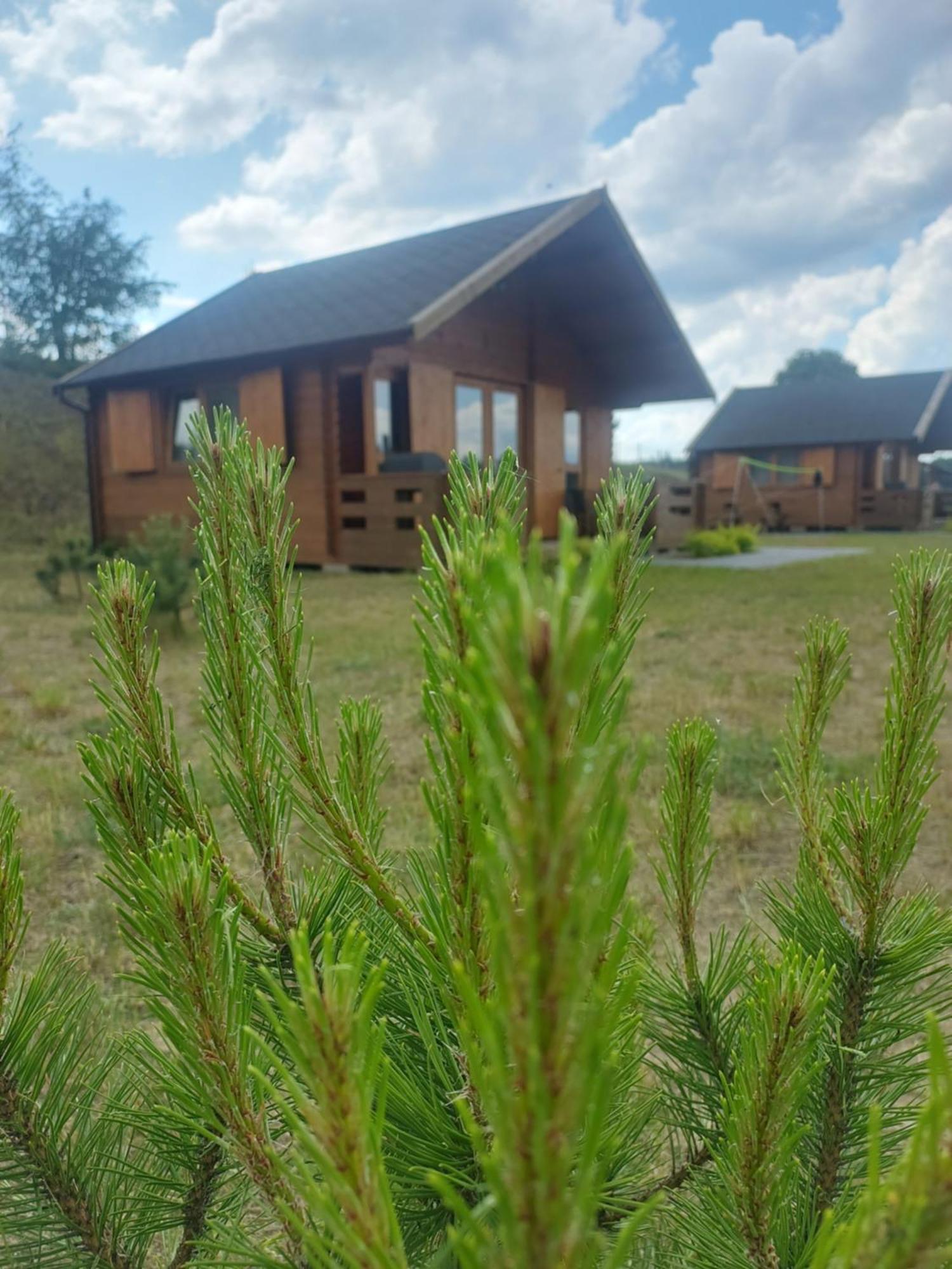 Kaszubskie Laki Domek Nr 4 Lakie Extérieur photo
